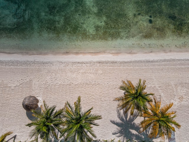 Disfruta las Playas de Cancún